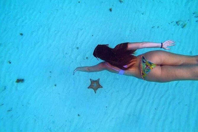 Starfish, Stingrays and the Turtle Bay Experience by Catamaran