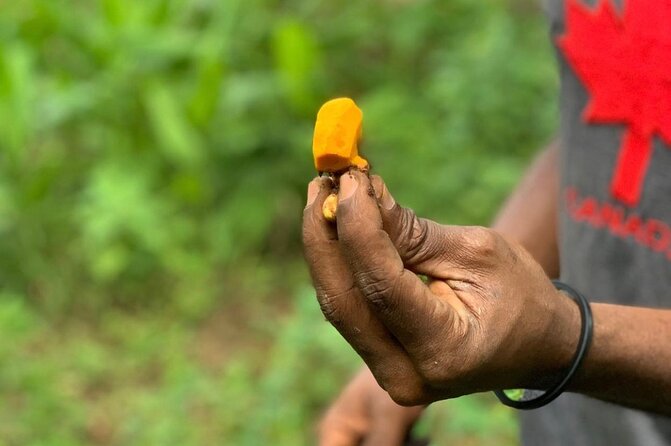STONE TOWN and SPICE FARM TOUR ( Lunch Included ) - Inclusions and Exclusions