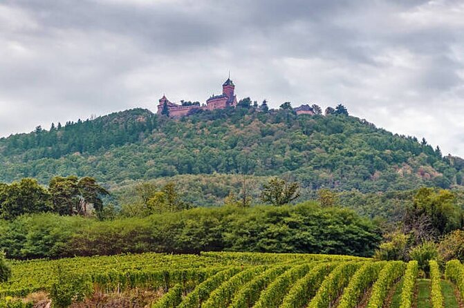 Strasbourg, Colmar, Eguisheim, Riquewihr: Private Excursion