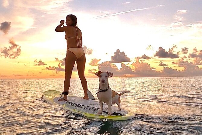 Sunrise Paddle Surf