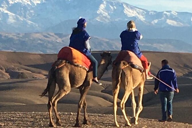 Sunset Camel Ride Sunset Camel Ride in Agafay Desert | Travel Buddies