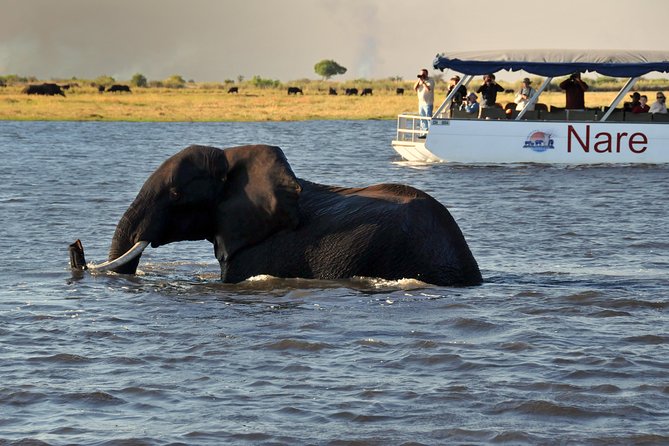Sunset Cruise on Chobe River With Hotel Pickup From Kasane