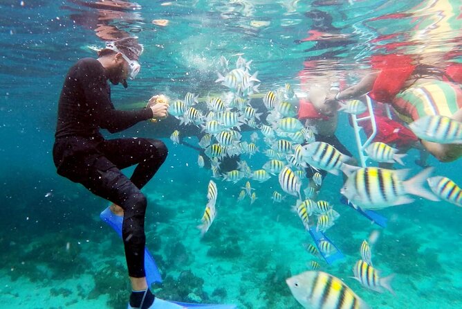 Sunset Cruise Ricks Cafe & Snorkeling Montego Bay Guests - Inclusions and Amenities Provided