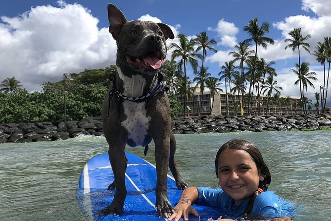 Surf With a Service Animal