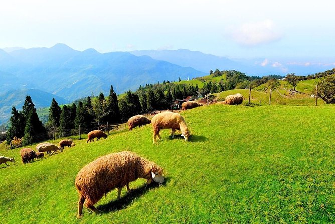 Taiwan Multi-Day Classic Tour
