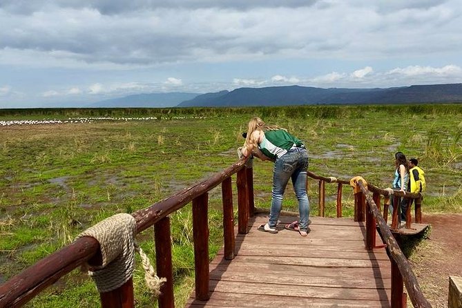 Tanzania Affordable Customize Safari – 3 Days Ngorongoro|Tarangire|Lake Manyara