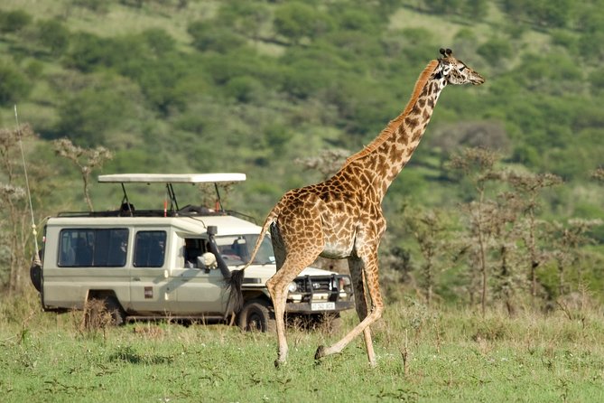 Tanzania Classic Safari – 7 Days