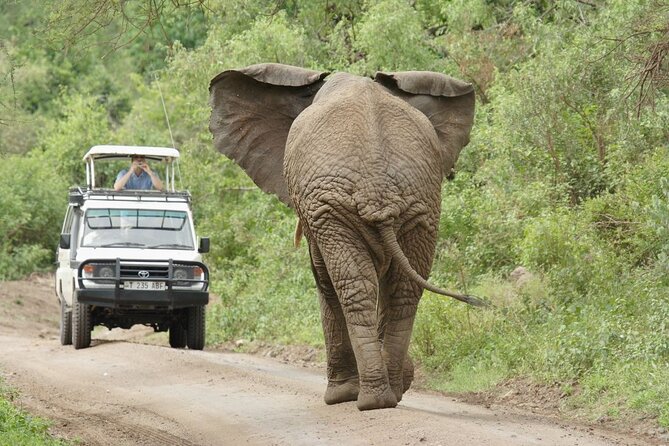 Tarangire, Serengeti, Ngorongoro Group Tour (4 Days)