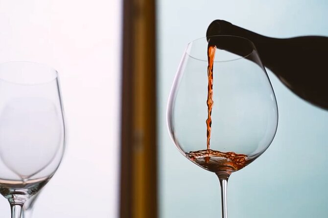 Tasting of Organic Mountain Wines With Vineyard and Cellar Tour