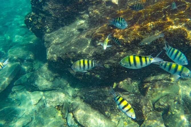 Tayrona, Snorkel & Beach