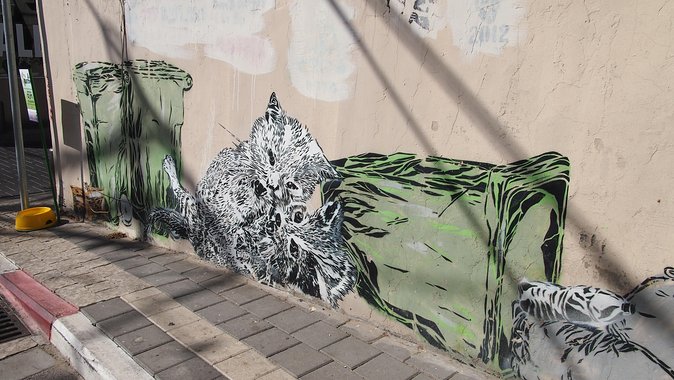 Tel Aviv Street Art Tour