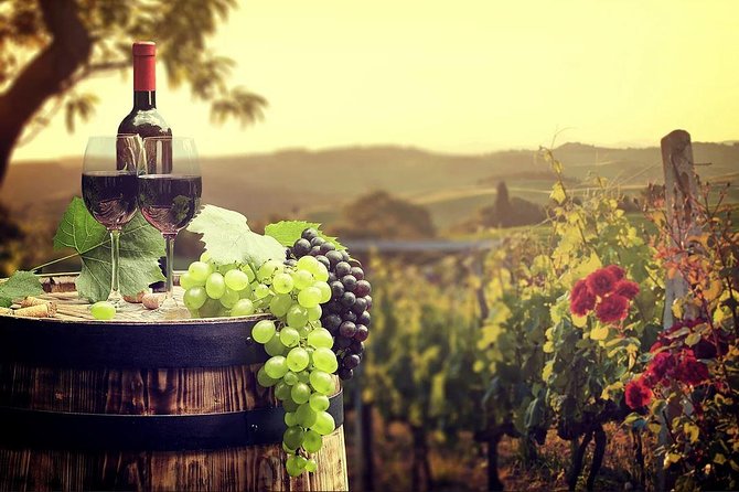 Temecula Wine Country Tour From San Diego