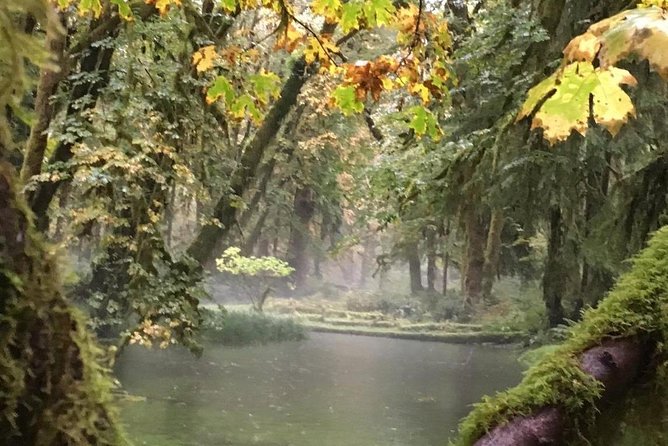 Temperate Rainforest Olympic Mountains