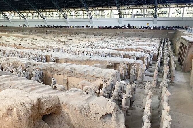 Terracotta Warriors Museum of Xian Live Virtual Tour