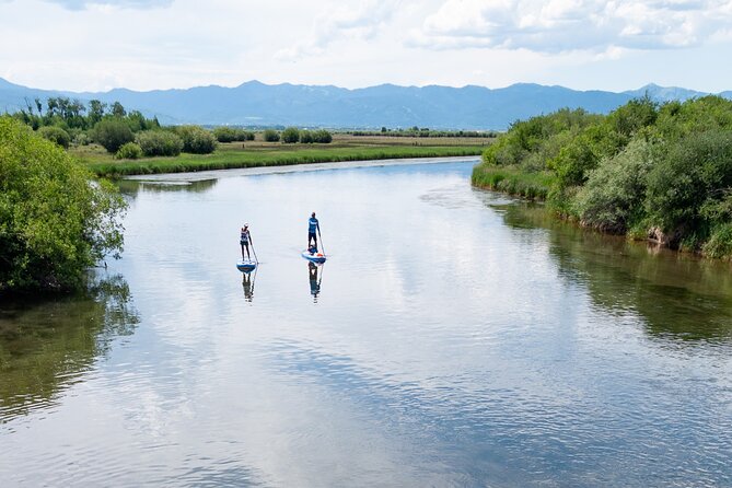Teton River Paddleboard Adventure – 4.5 Miles