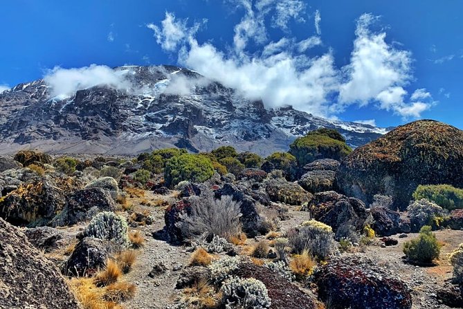 The 6 Days Kilimanjaro Climbing Tour via Machame Route in /25