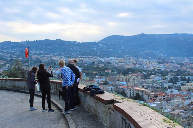 The Best of Campania in 2 Days: Amalfi Coast, Pompeii, Herculaneum & Vesuvius - Tour Overview