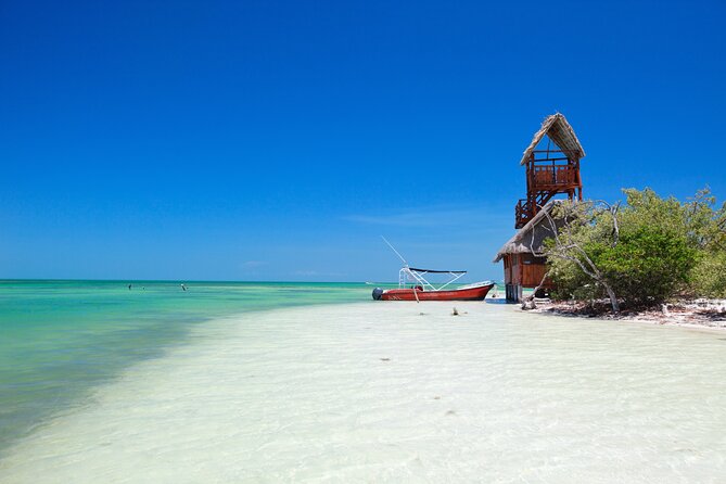 The Best of Holbox From Tulum