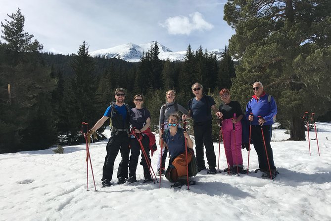 The Best of Sofia: Magical Snowshoeing Adventure in Vitosha & SPA - Explore the Enchanting Vitosha Mountains