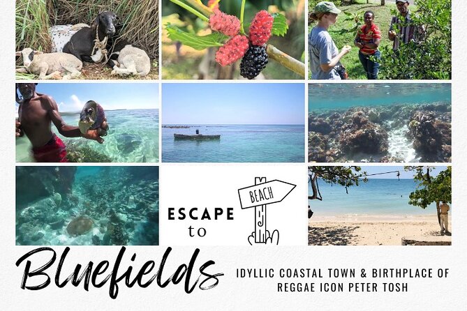The Bluefields Experience: Organic Farm, Beach & Coral Reef