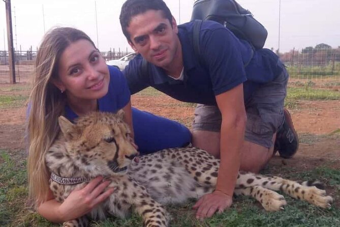 The Cheetah Experience