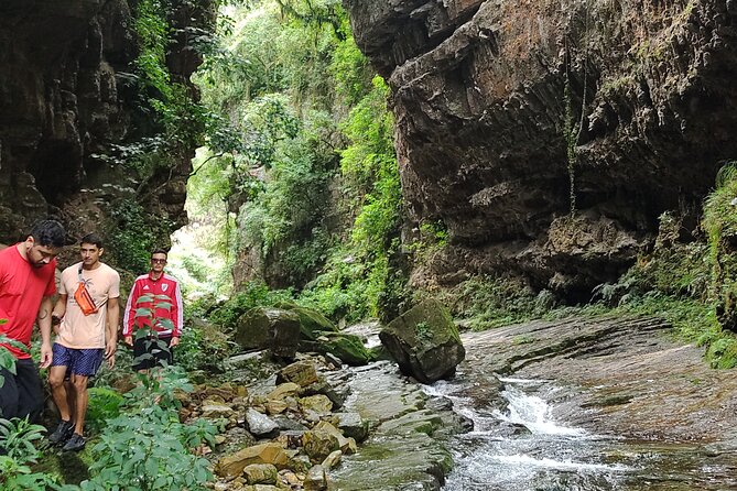 The Jaguar Fountain / Immerse Yourself in the Jungle of Jujuy