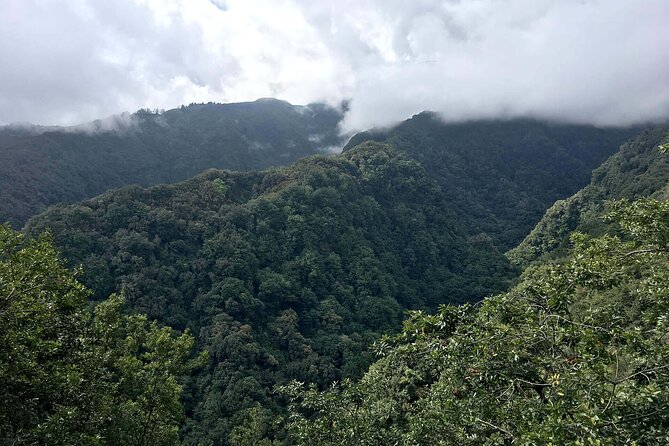 The Kings Levada Review: A Scenic Adventure