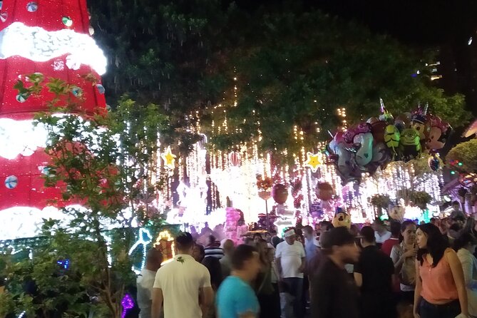 The Medellín Christmas Lights Start From December 2, 2025