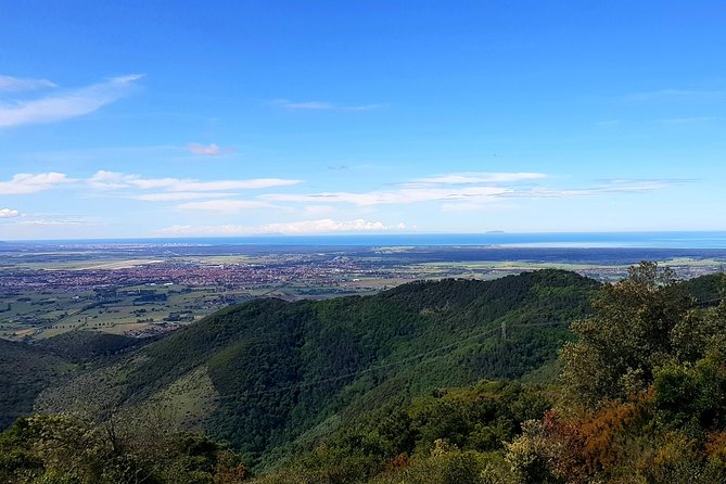 The Morning Hike