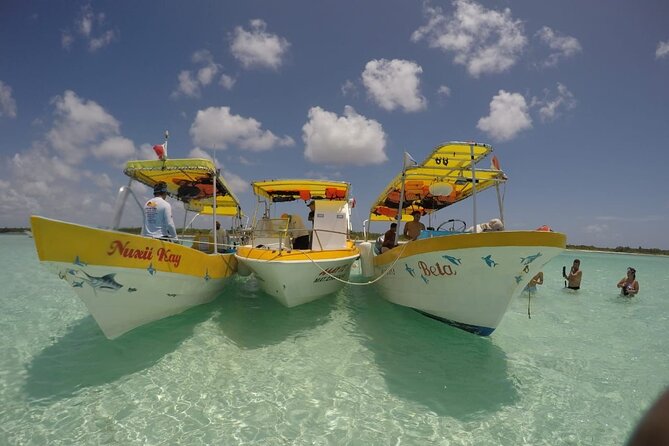 The Sky Cozumel Snorkeling by Private Boat