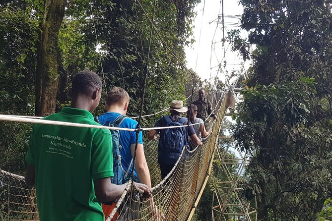 Three-day Nyungwe Canopy and Kivu Lake Adventure