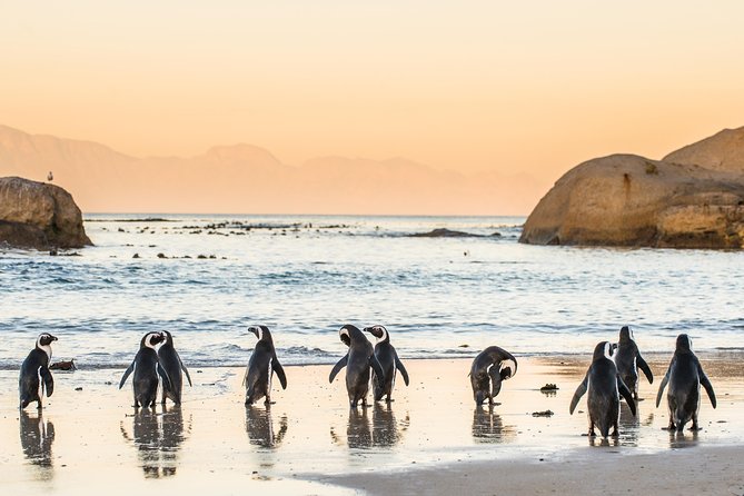 Three Day Private Tour – Cape Peninsula/Table Mnt/Stellenbosch Winelands