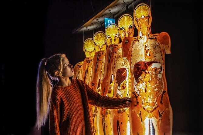 Ticket Expo Body Worlds Review: A Fascinating Experience