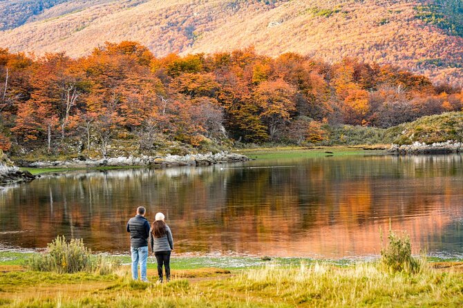 Tierra Del Fuego National Park PM – With Dinner Included