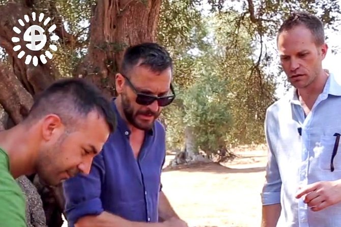 Torre Guaceto Olive Tree Tour Review