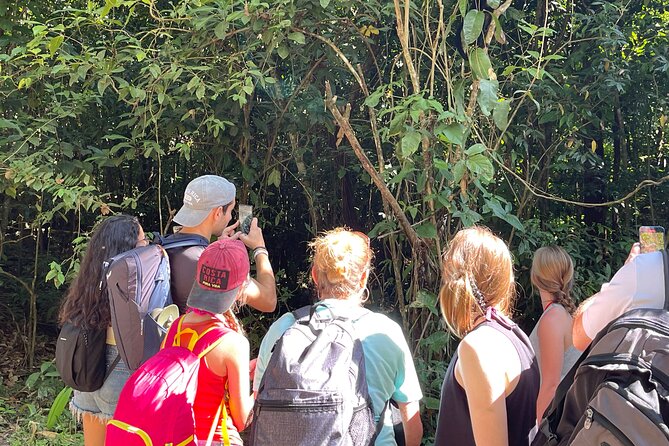 Tortuguero Canal Tour by Canoe