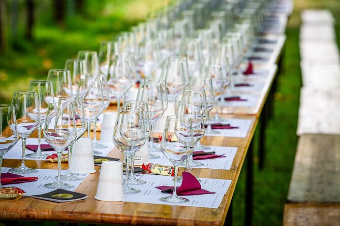 Tour and 3 Wines Tasting in the Prosecco Hills