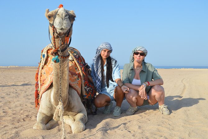 Tour in Hurghada Arabian Night and Star Watching - Tour Overview and Details