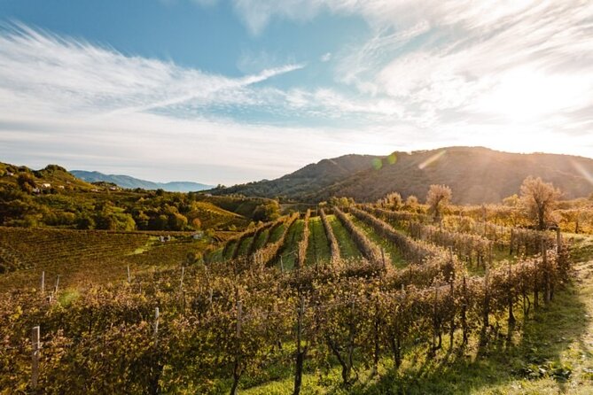 Tour in the Prosecco Hills Tour From Padua