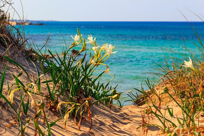 Tour of the Nature Reserve of Torre Guaceto