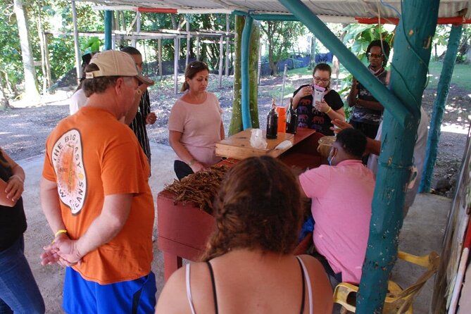 Tour Pack 2-in-1: Zip Line, Jungle Buggies in Punta Cana