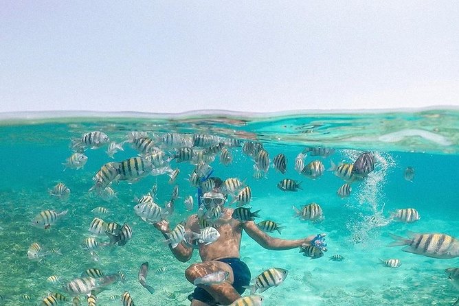 Tour Rosario Islands More Plankton