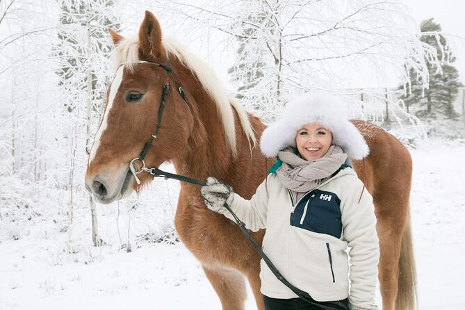 Tour to Aurora Horses Farm Review - Tour Overview