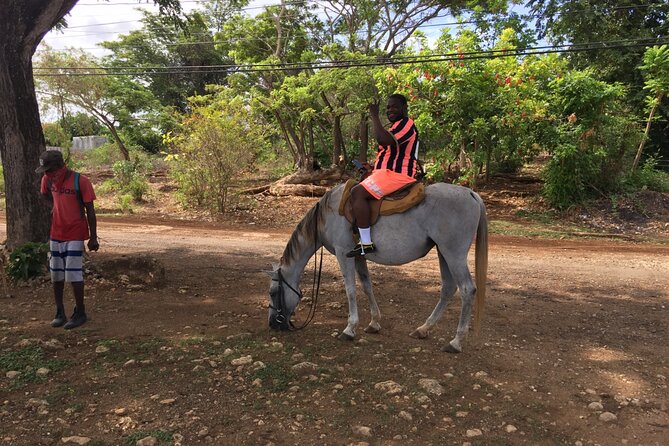 Tour to Blue Hole, Horseback Riding & ATV Adventures