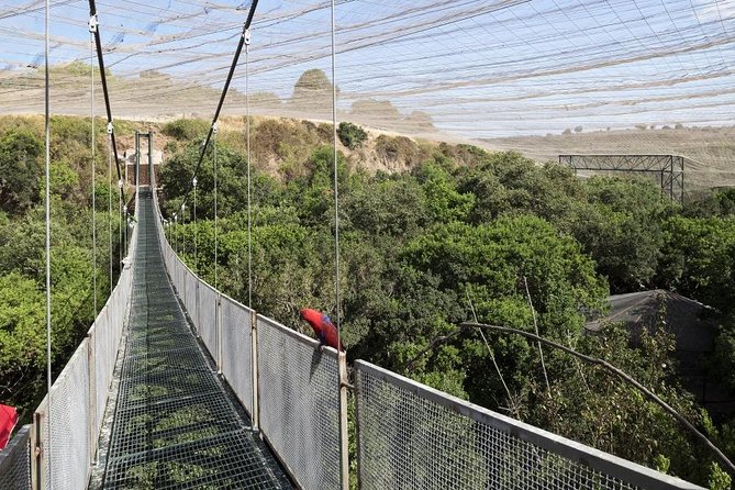 Tour to Parque Tricao + Aviary and Pomaire Full Day From Santiago