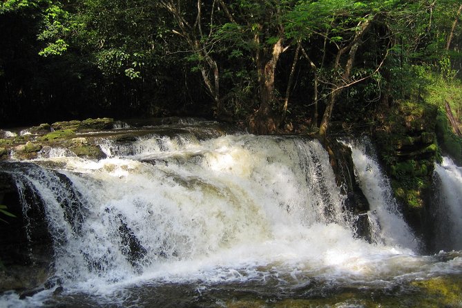 Tour to Presidente Figueiredo: Amazon Waterfalls - Overview of the Tour