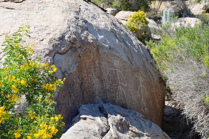 Tour to Valle Del Encanto Archeology, Petroglyphs, Flora, Fauna and Springs