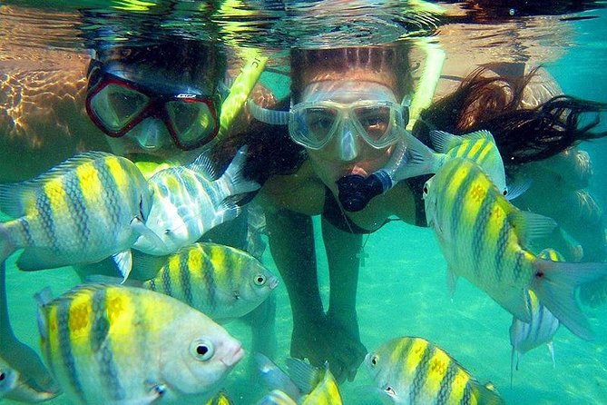 Tour Two Beaches: Cinto and Crystal in Tayrona Park