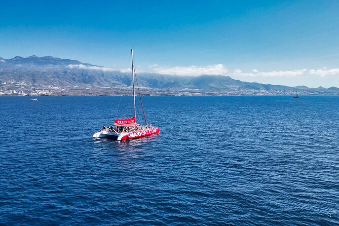 Tour With Whale and Dolphin Watching Plus Food Included - Tour Overview