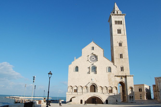 Trani Private Tour: a Piece of Art Overlooking the Adriatic Sea